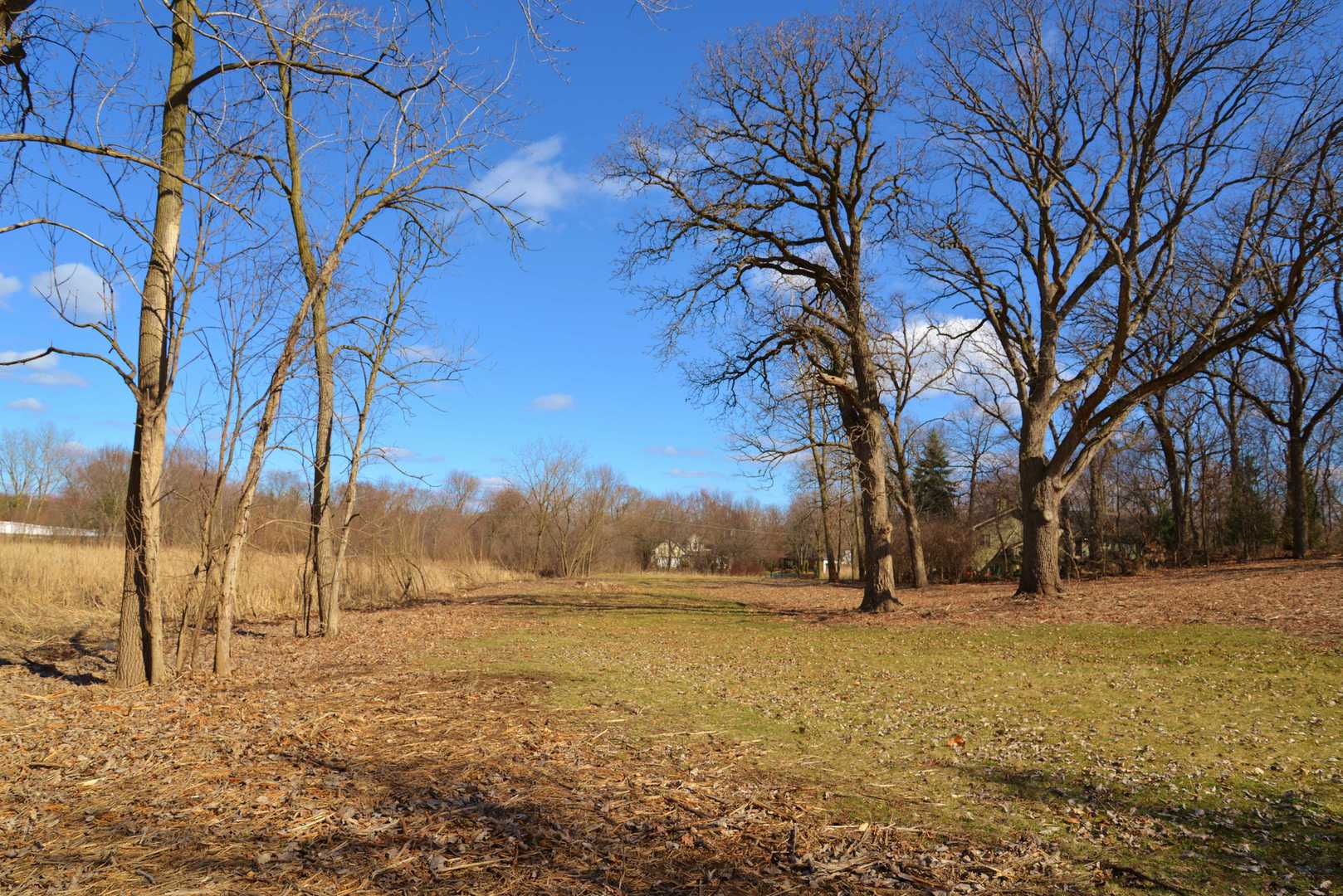 840 Arbor Avenue Property Photo 13