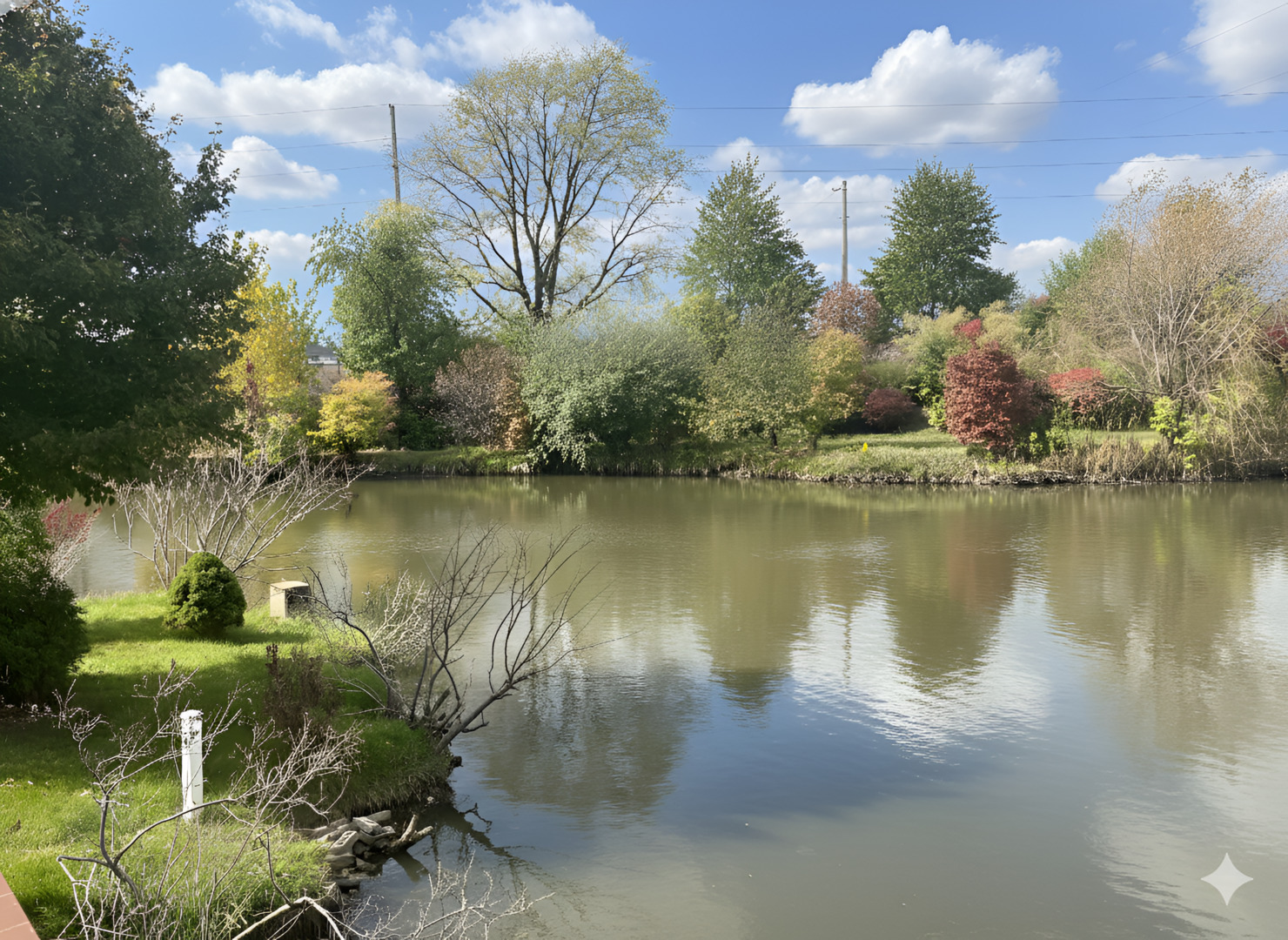 12545248 Property Photo 6