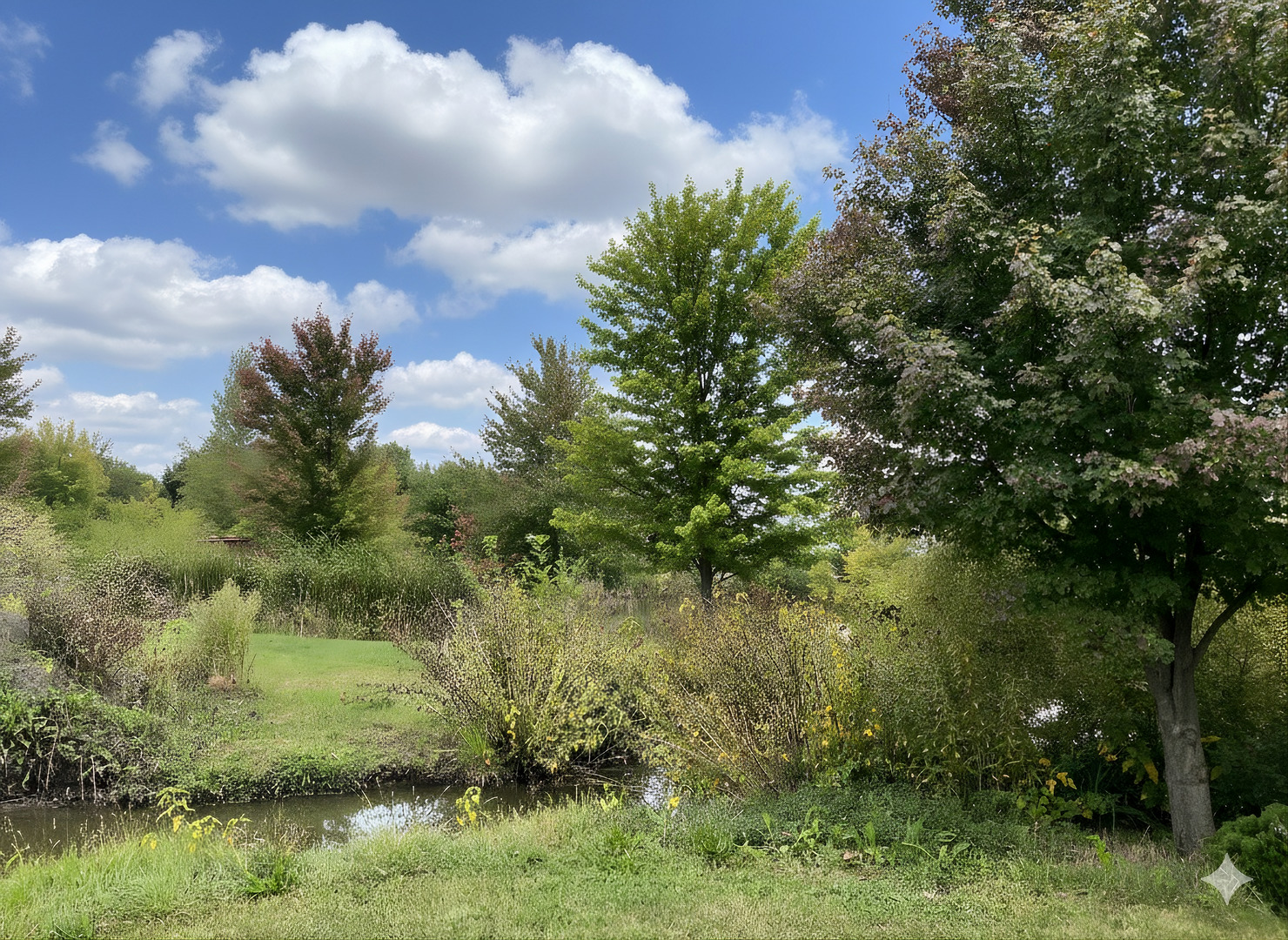 12545248 Property Photo 12