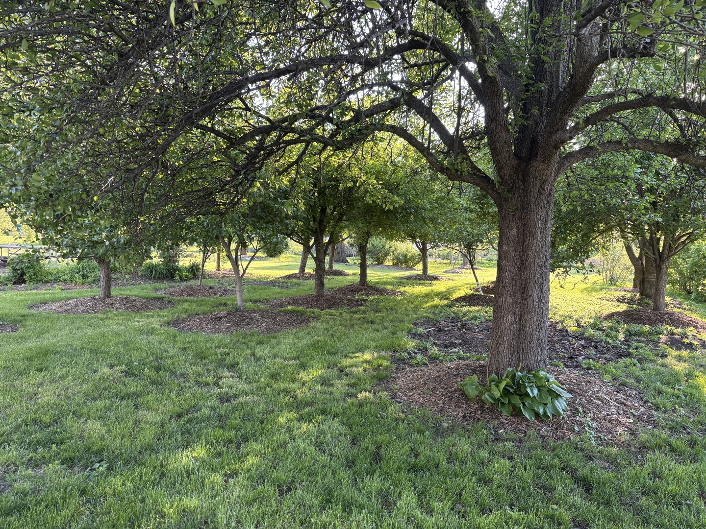 12545248 Property Photo 23
