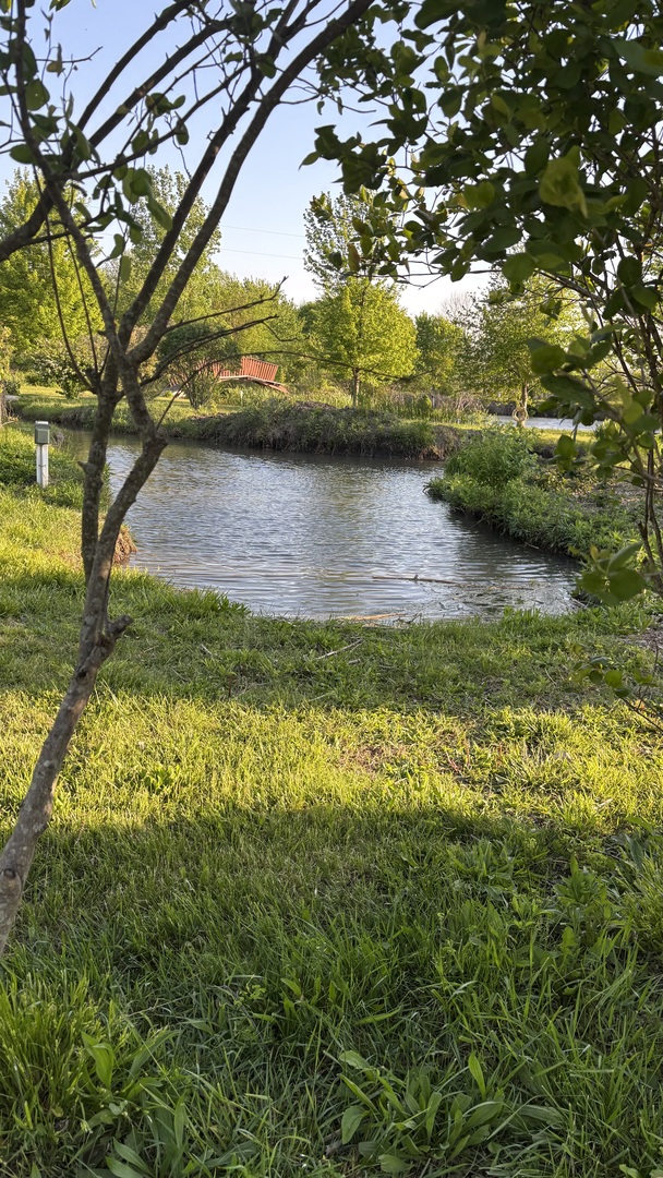 12545248 Property Photo 24