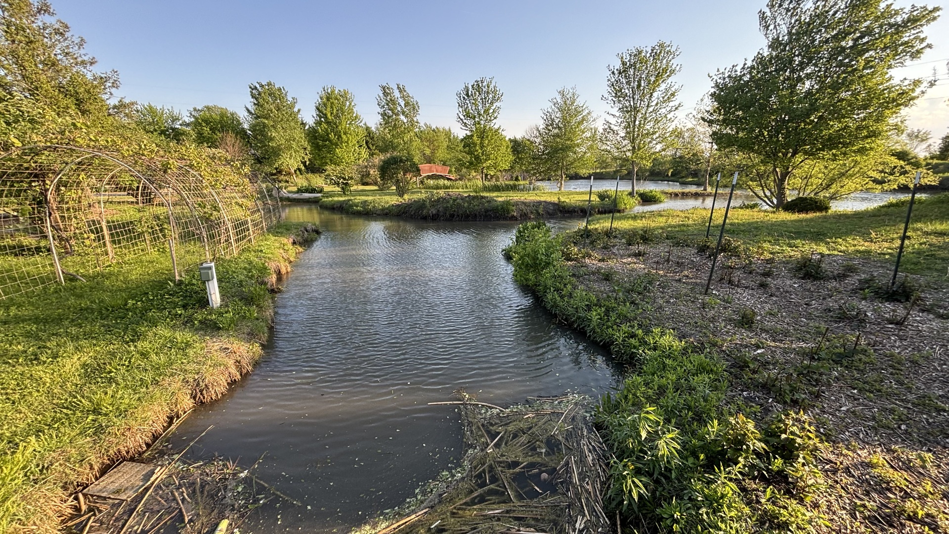 12545248 Property Photo 25