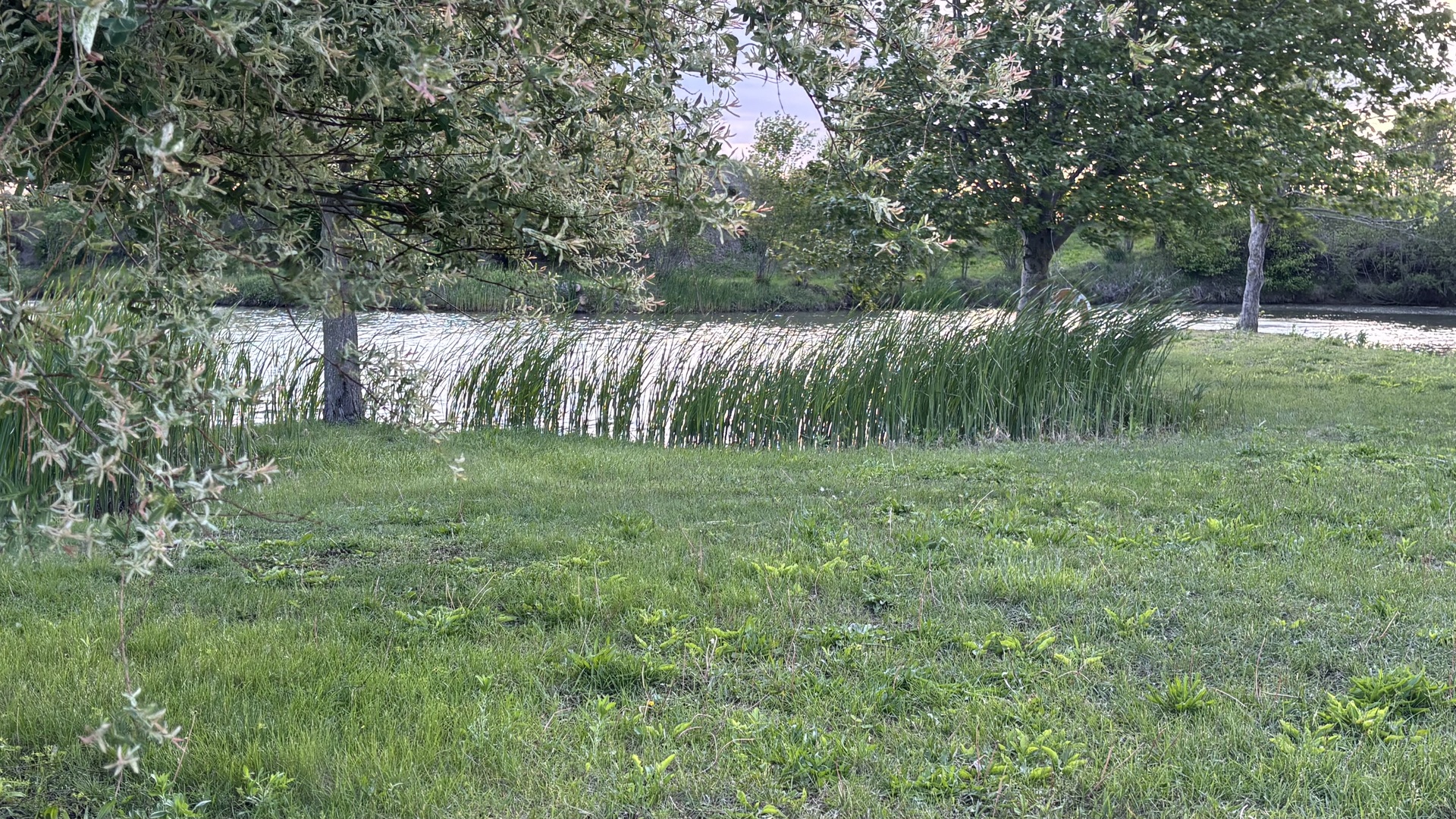 12545248 Property Photo 33