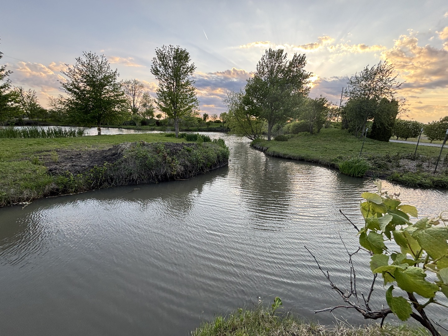 12545248 Property Photo 37