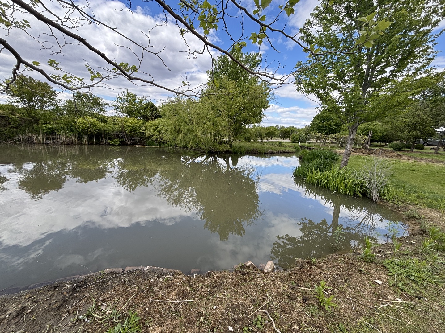 12545248 Property Photo 41
