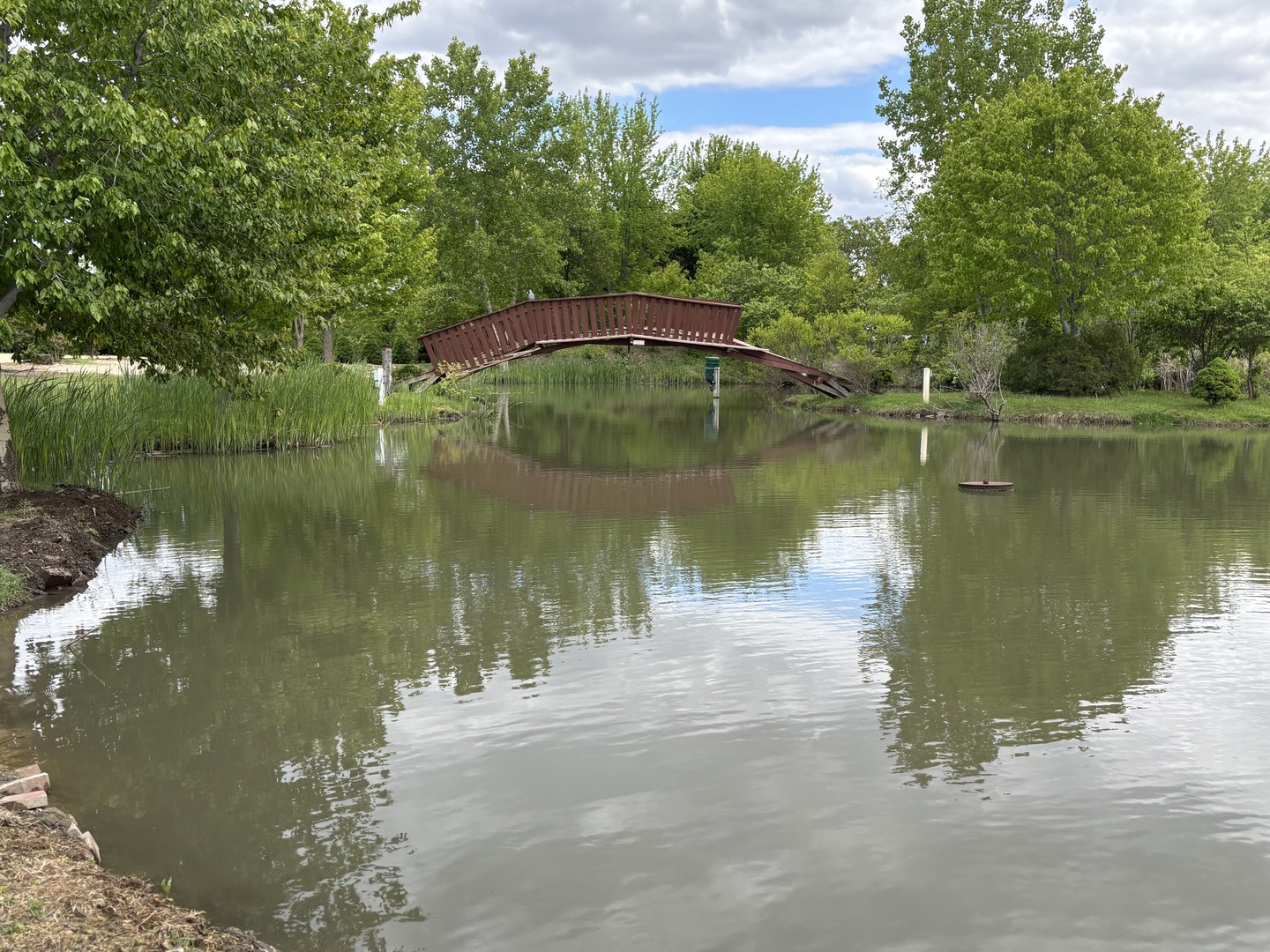 12545248 Property Photo 44