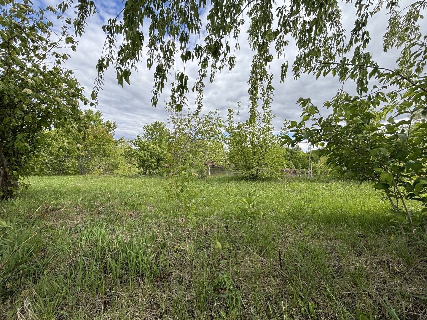 12545248 Property Photo 48