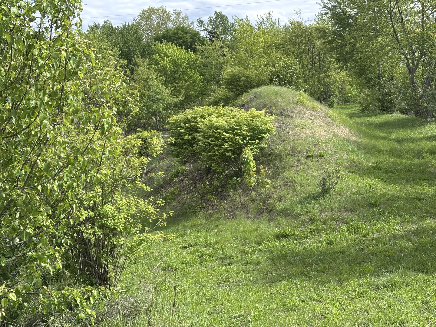 12545248 Property Photo 50