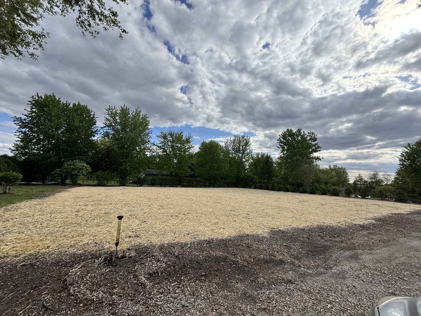 12545248 Property Photo 51
