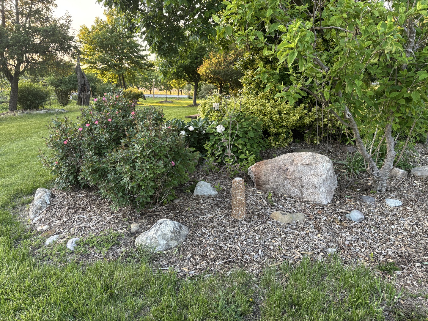 12545248 Property Photo 65
