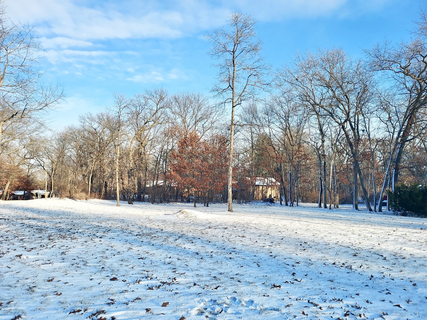 12545862 Property Photo 4