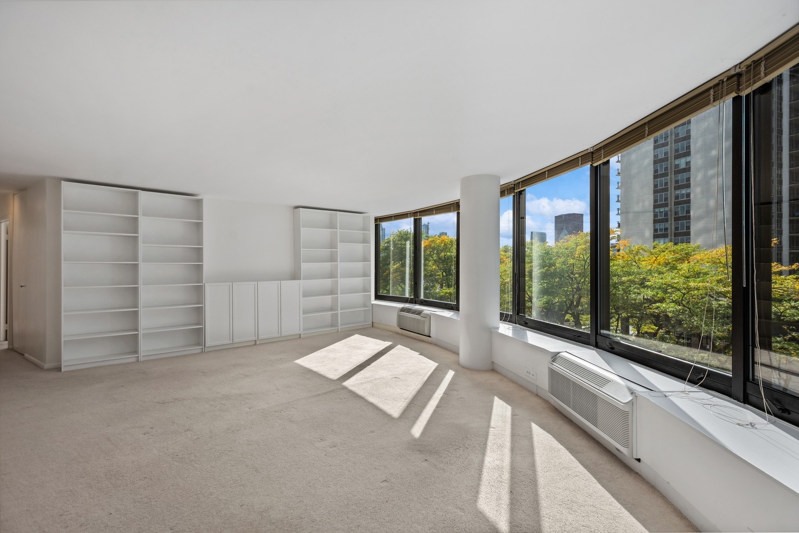 155 N Harbor Drive 403 Property Photo 5