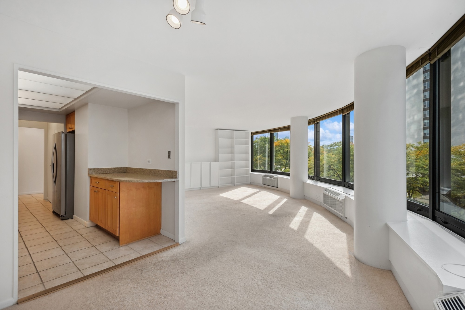 155 N Harbor Drive 403 Property Photo 6