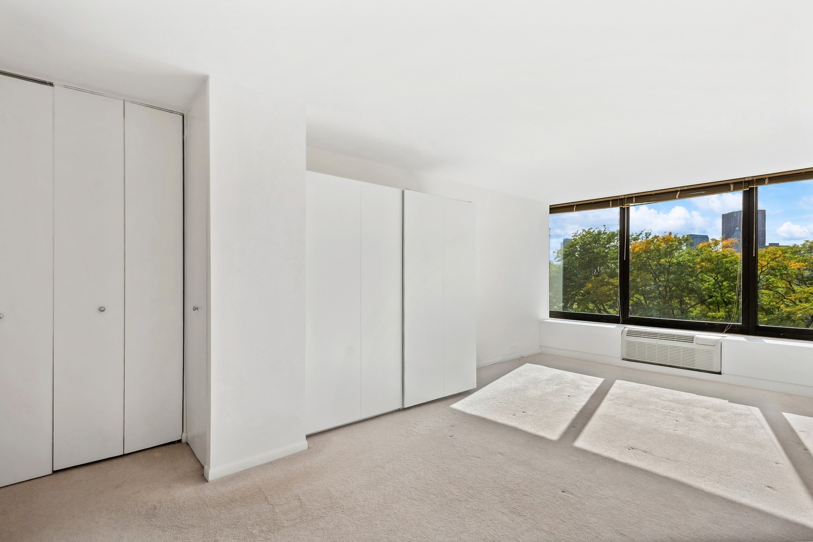 155 N Harbor Drive 403 Property Photo 8