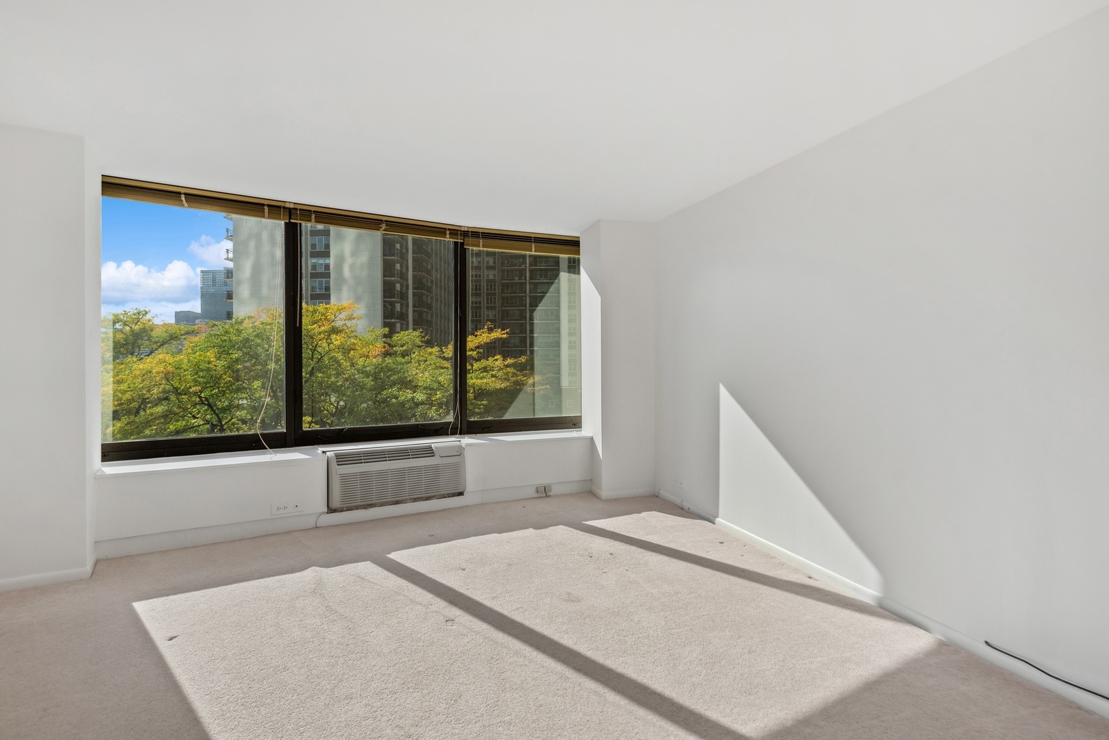 155 N Harbor Drive 403 Property Photo 11