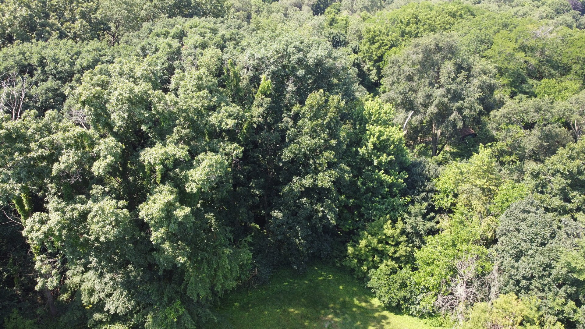35w247 Fox River Drive Property Photo 4