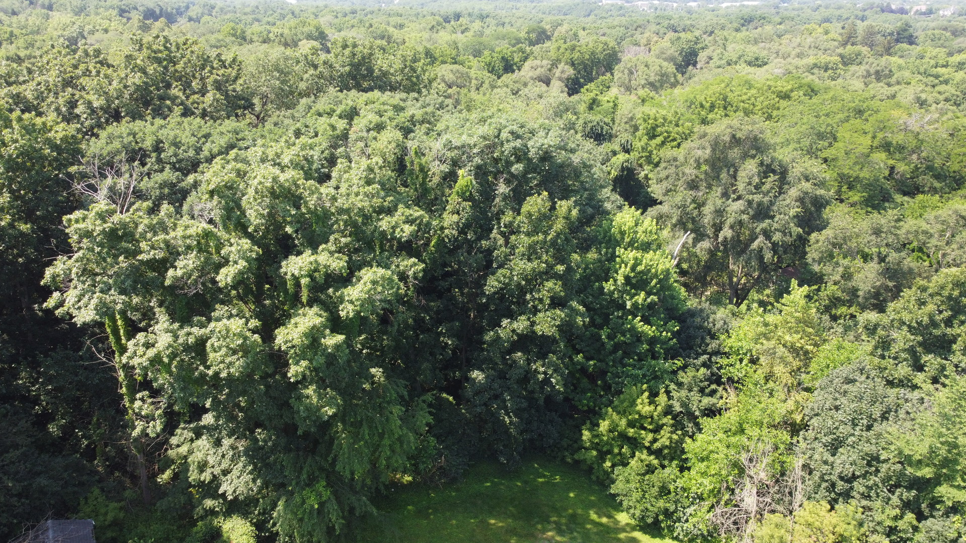 35w247 Fox River Drive Property Photo 6