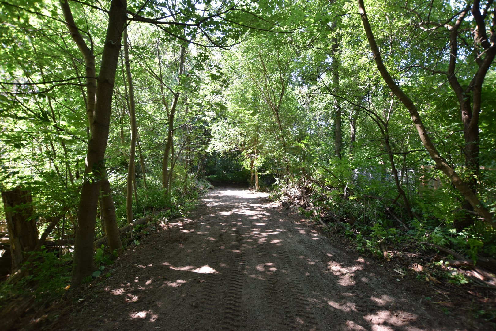 35w247 Fox River Drive Property Photo 9