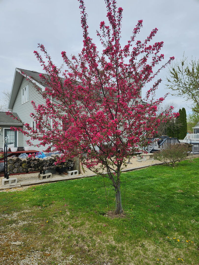 109 Largemouth Lane Property Photo 4