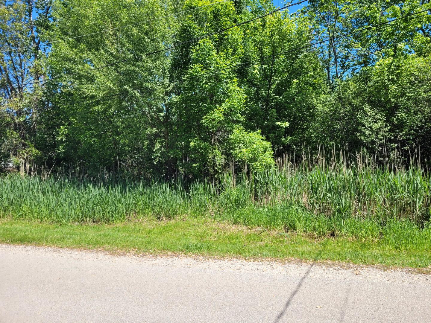 33211 N Island Avenue Property Photo 5