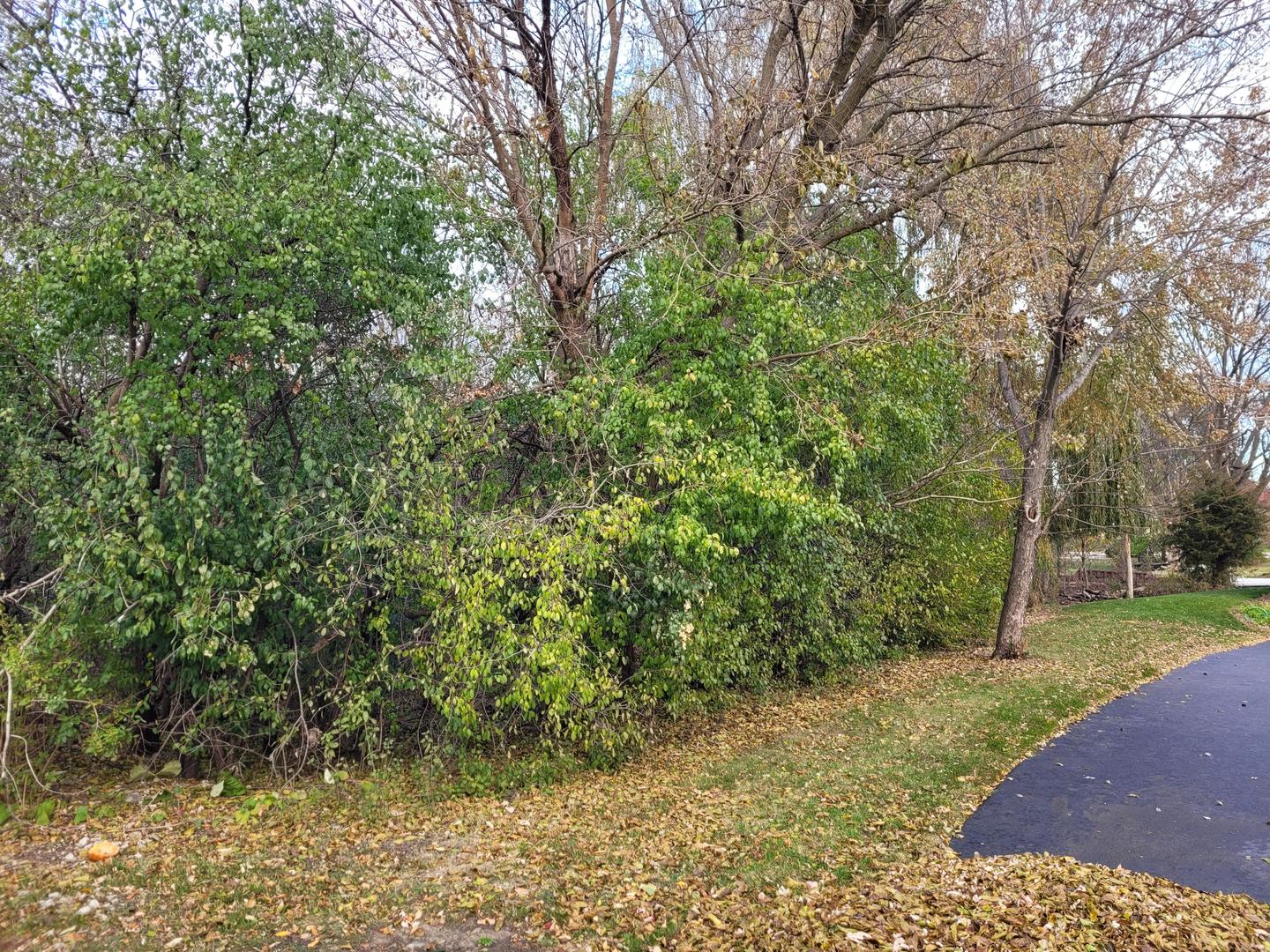 33211 N Island Avenue Property Photo 10