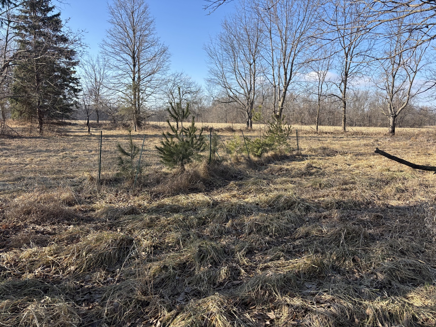 735 Brookside Drive Property Photo 1