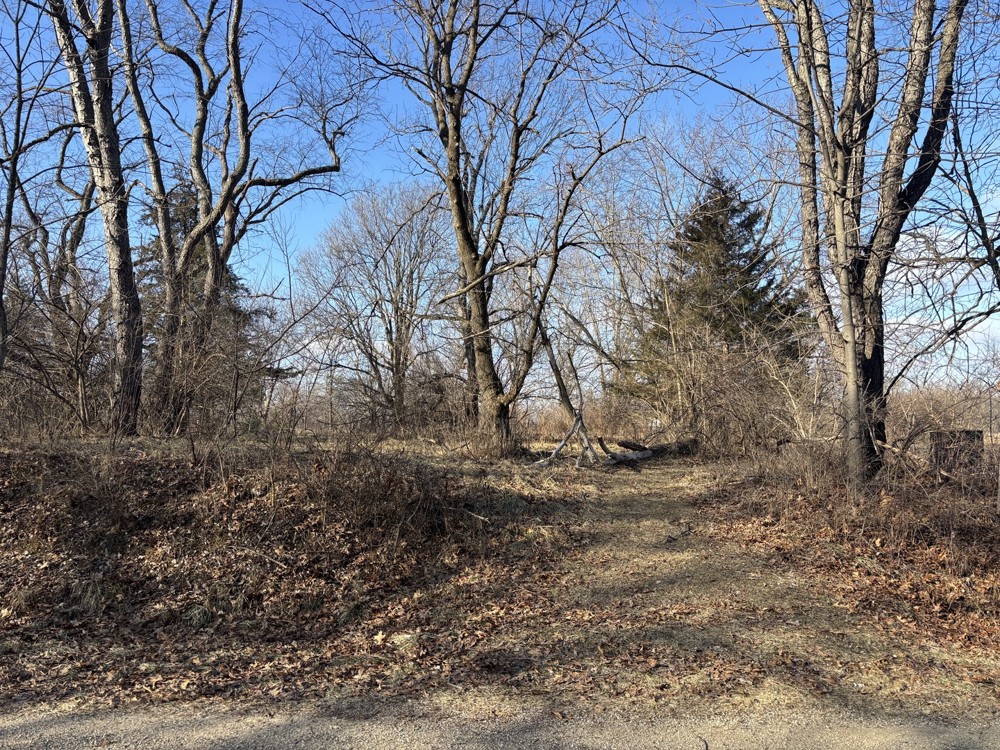 735 Brookside Drive Property Photo 3