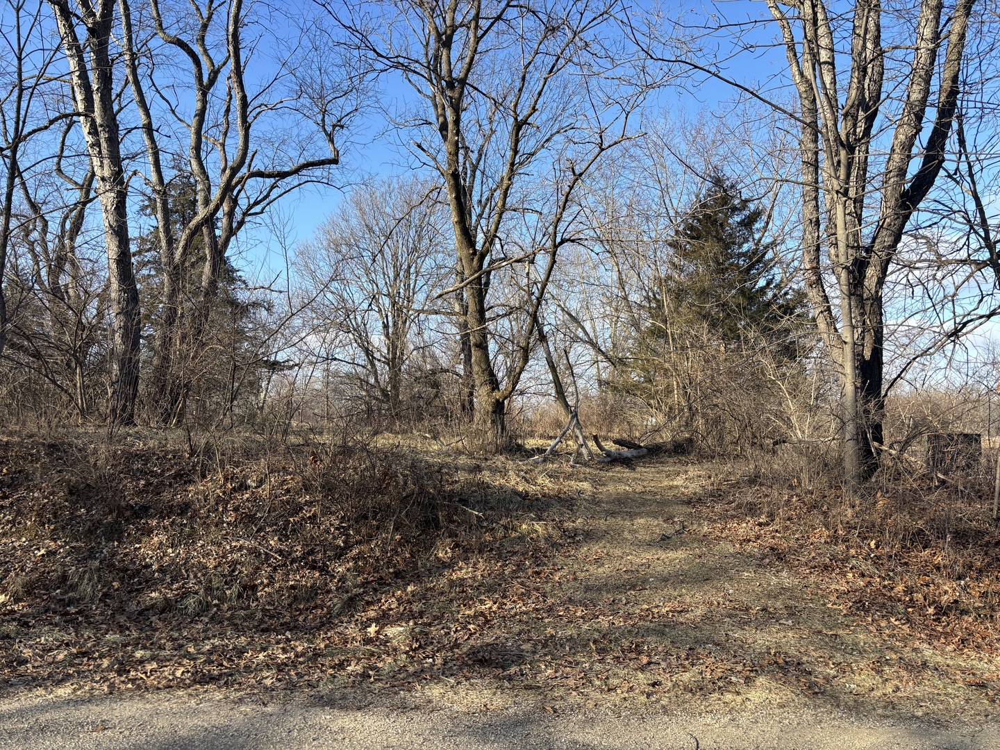 735 Brookside Drive Property Photo 4