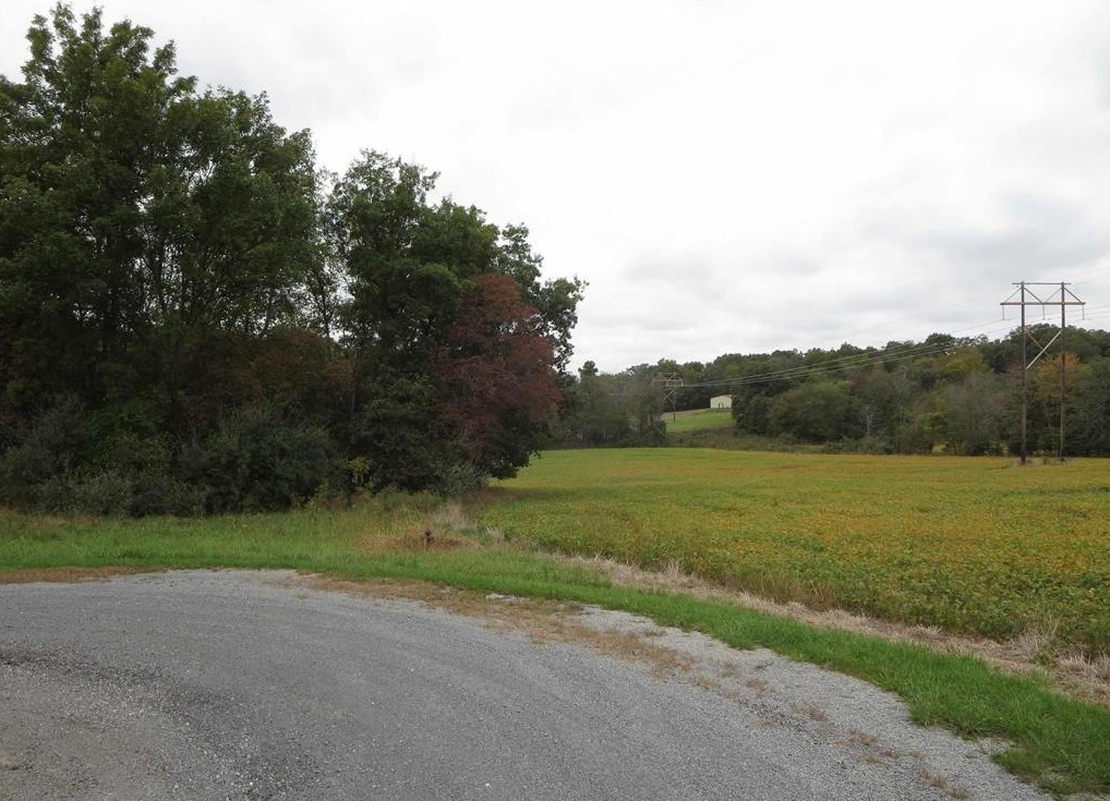 1924 Castle Oaks Road Property Photo 3