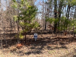Lot 244 Parrish Ridge Lane Property Photo 1