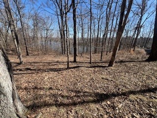 Lot 244 Parrish Ridge Lane Property Photo 2