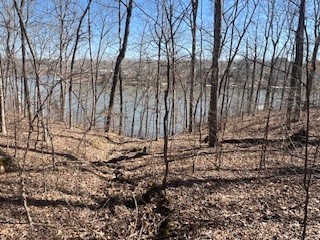 Lot 244 Parrish Ridge Lane Property Photo 3