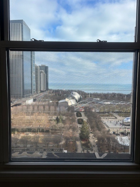 111 N Wabash Avenue 1618 Property Photo 8