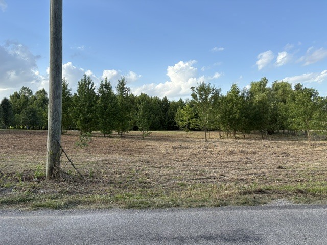 000 Lavern Road Property Photo 5