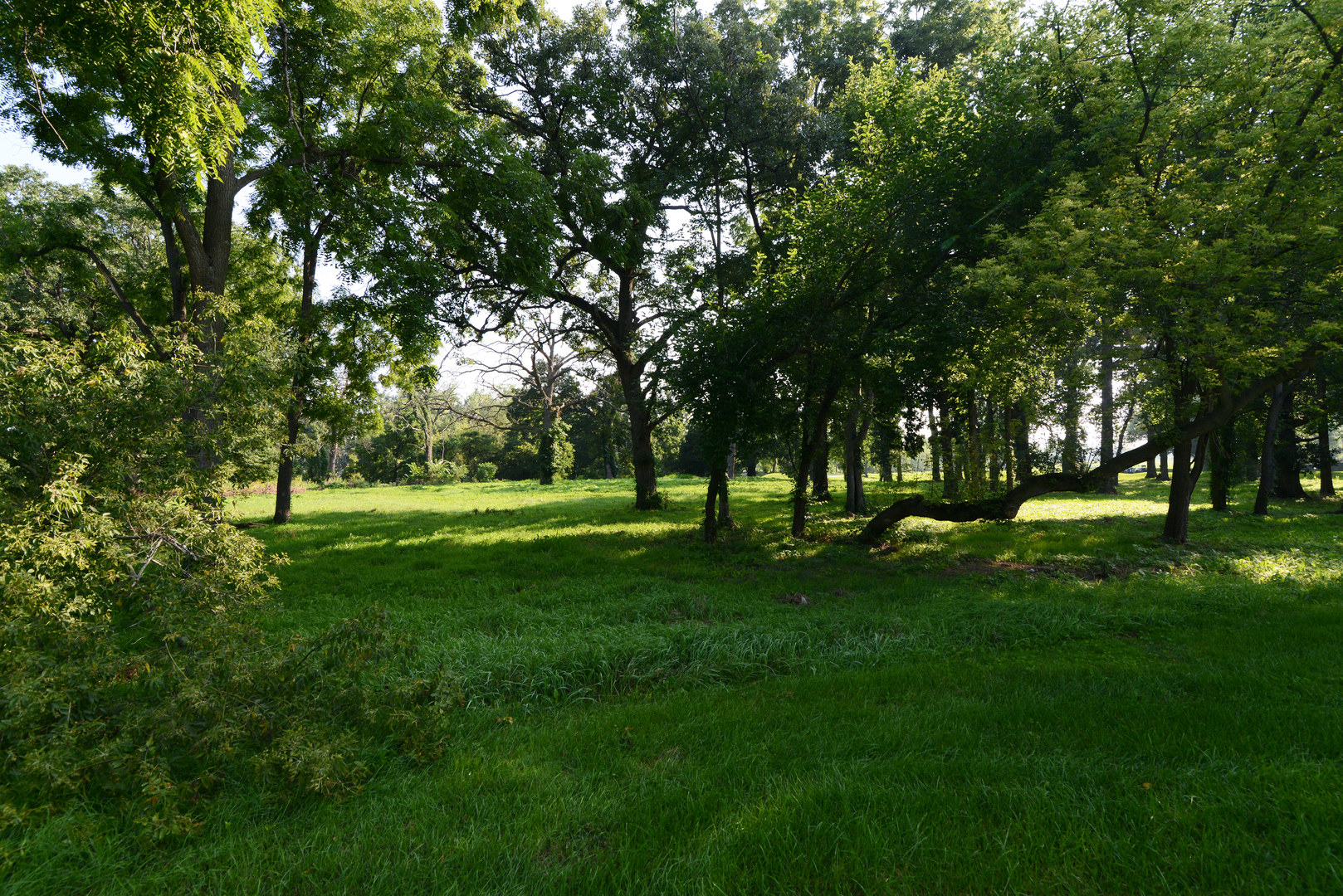Lot 1 Royal Fox Drive Property Photo 2