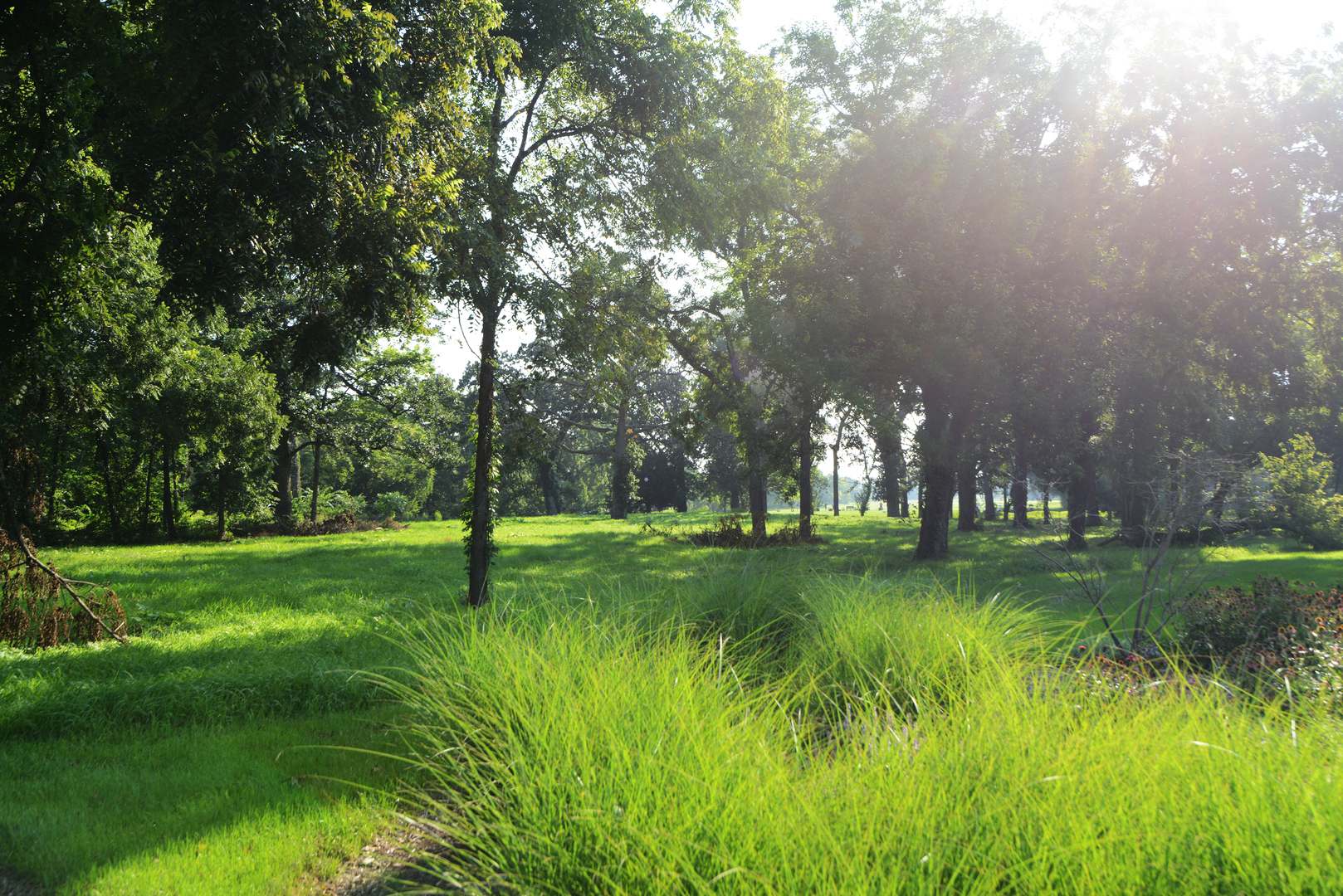 Lot 1 Royal Fox Drive Property Photo 8