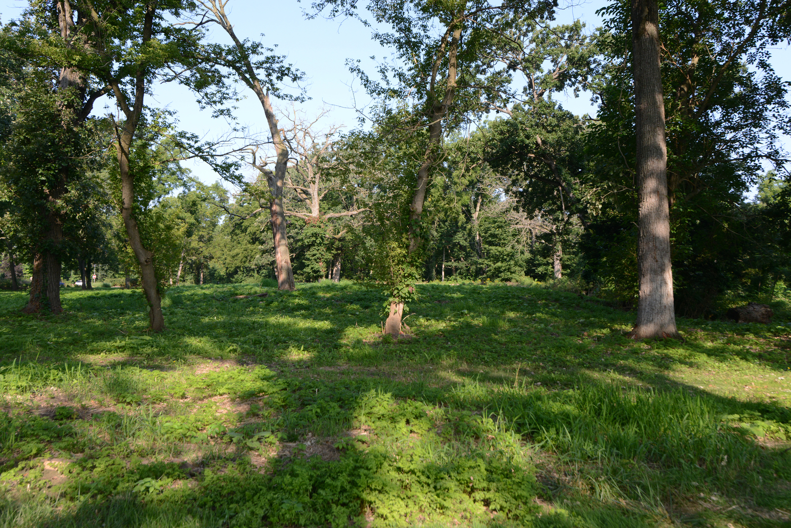 Lot 1 Royal Fox Drive Property Photo 10