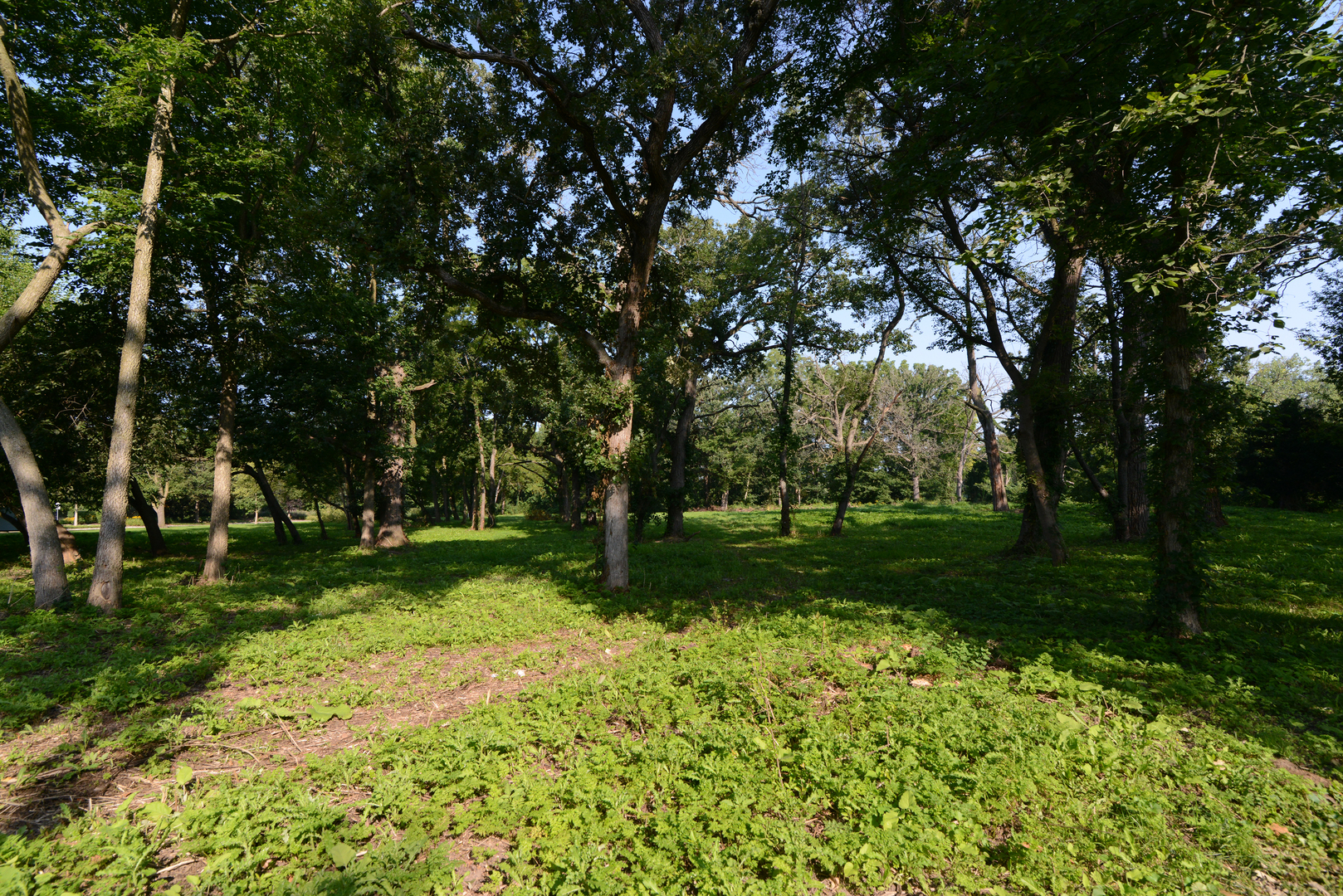 Lot 1 Royal Fox Drive Property Photo 11
