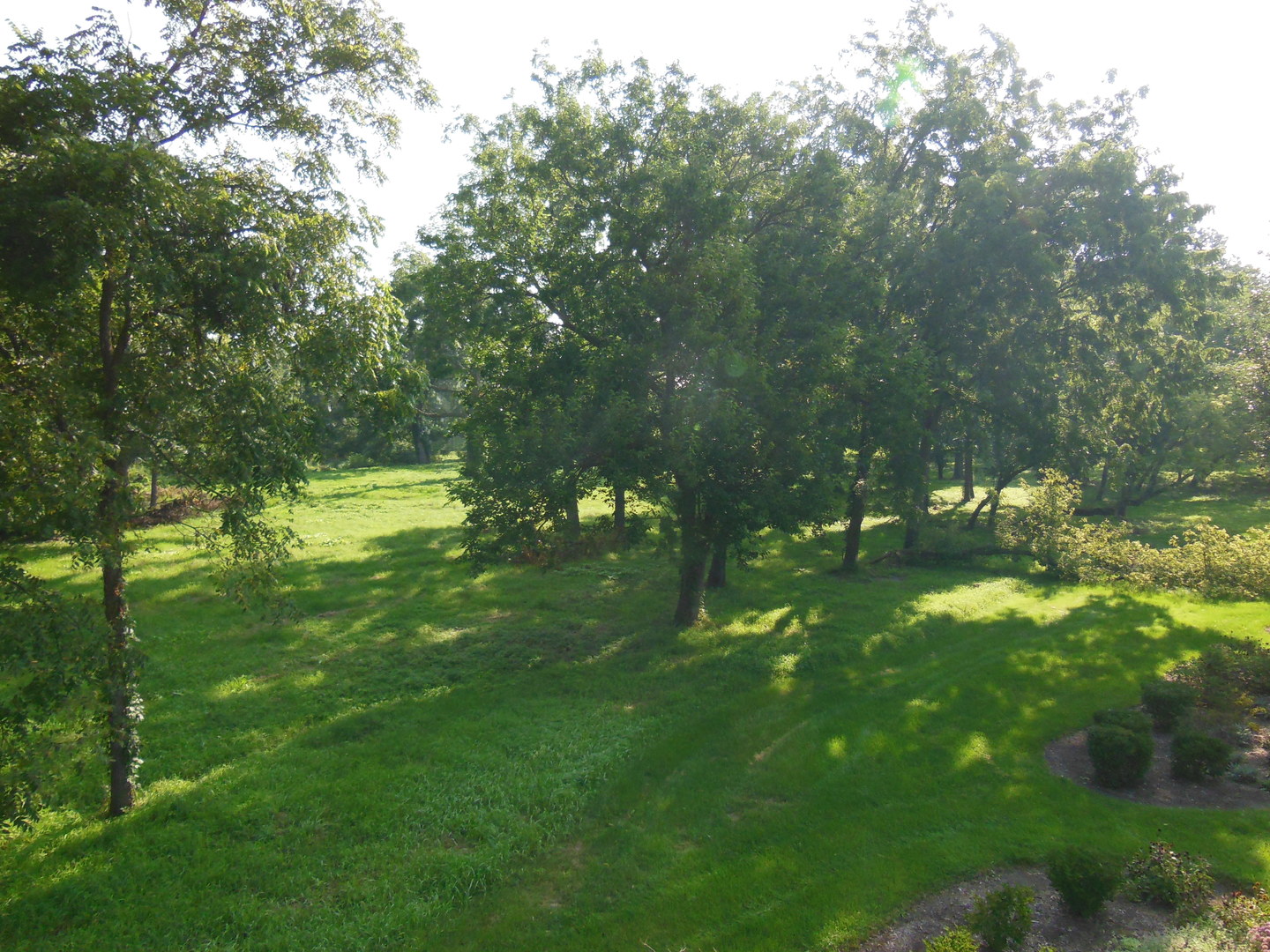 Lot 1 Royal Fox Drive Property Photo 12