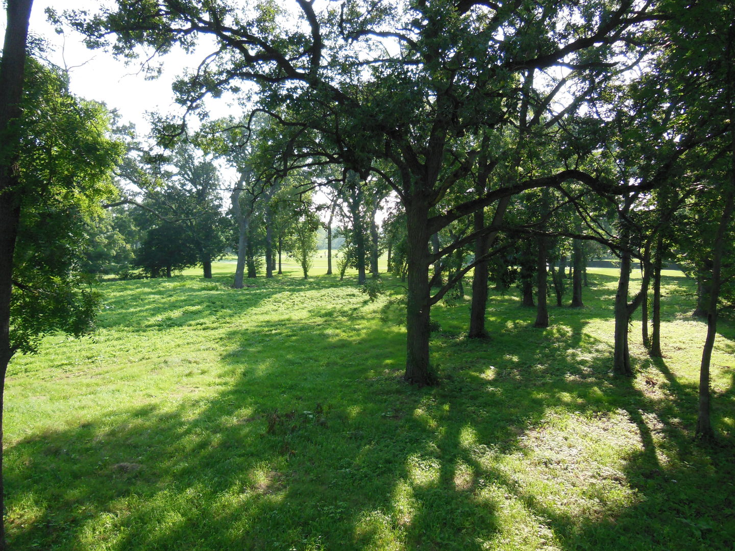 Lot 1 Royal Fox Drive Property Photo 13