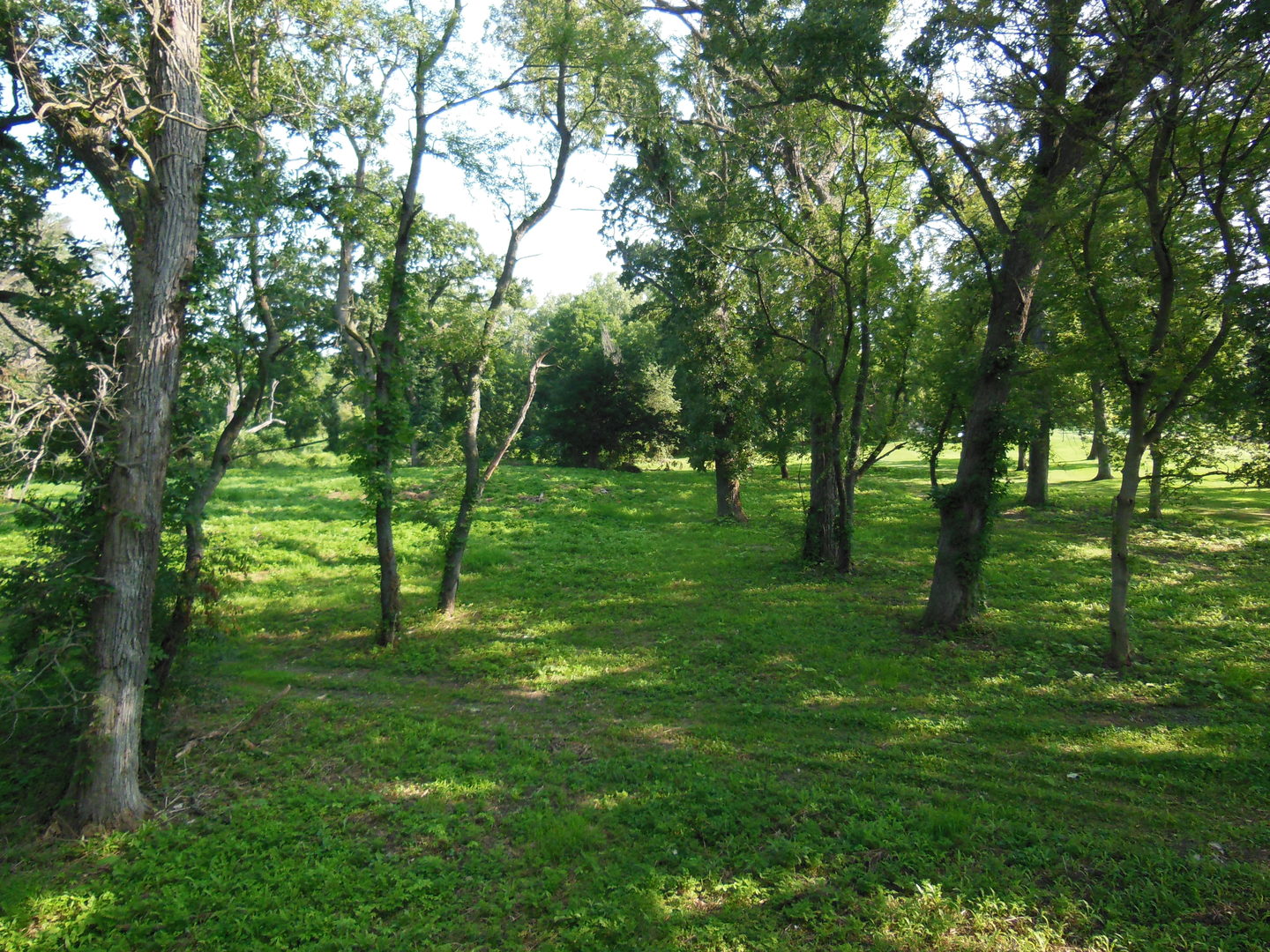 Lot 1 Royal Fox Drive Property Photo 14