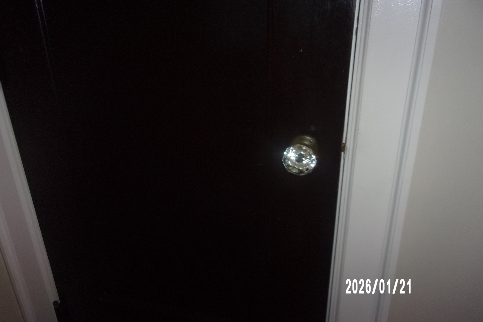 454 S 5th Street Property Photo 26
