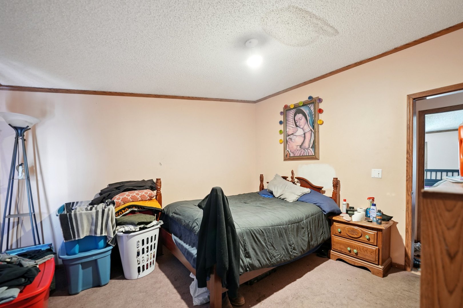 30048 S Klemme Road Property Photo 22