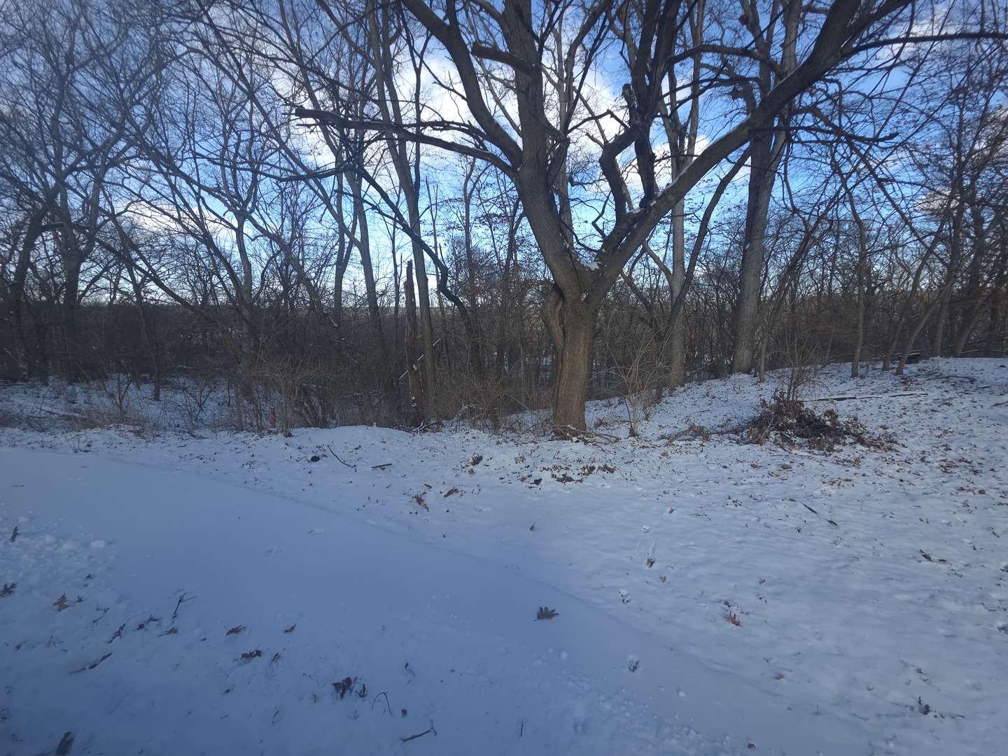 110 W Fork Road Property Photo 1