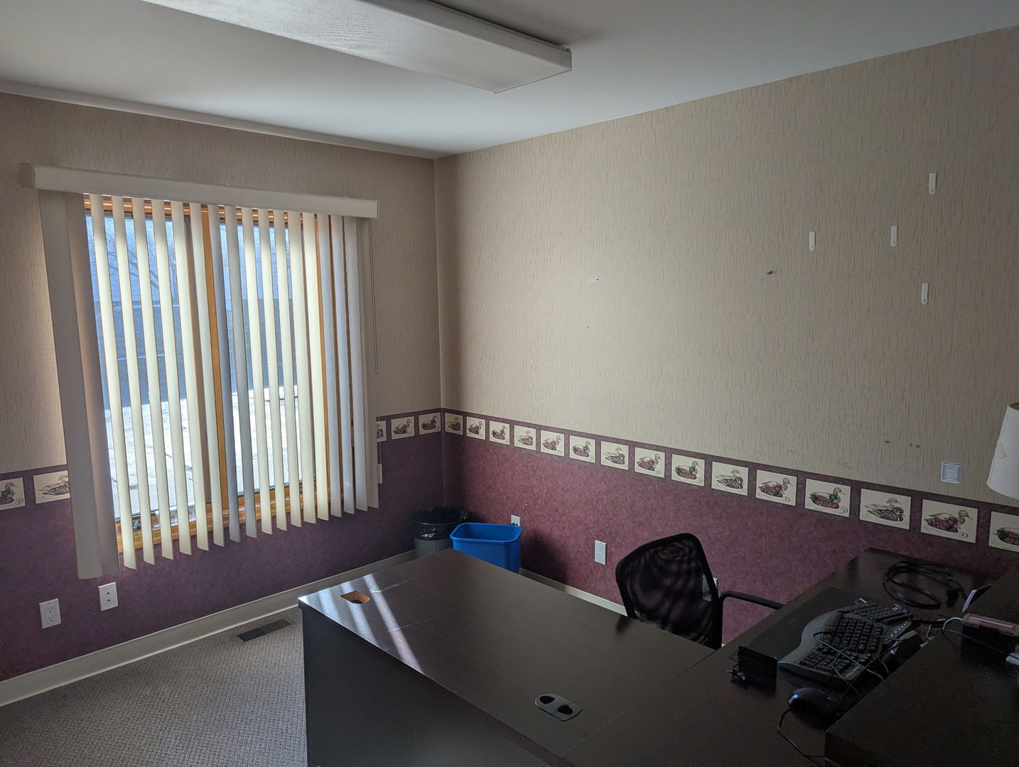 1803 Woodfield Drive B Property Photo 6