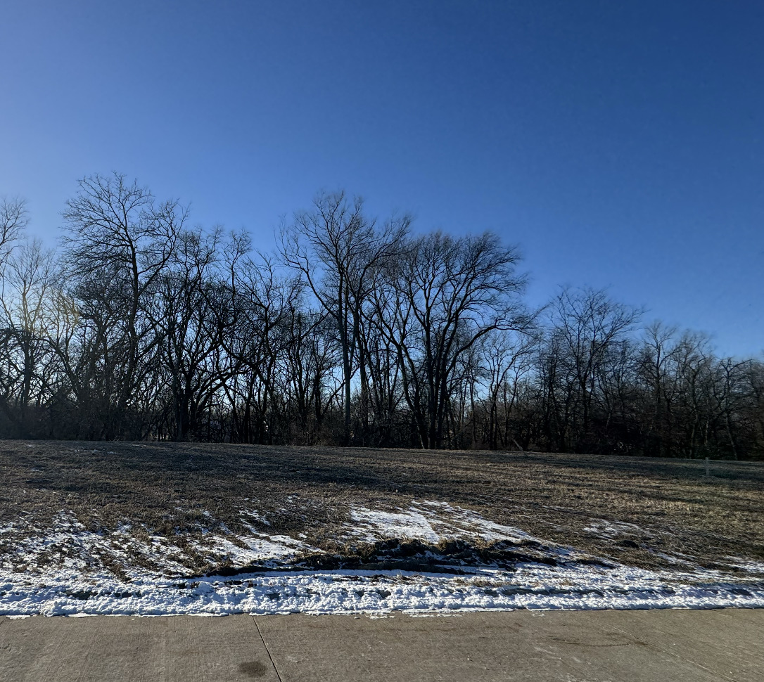300 Mason Drive Property Photo 1