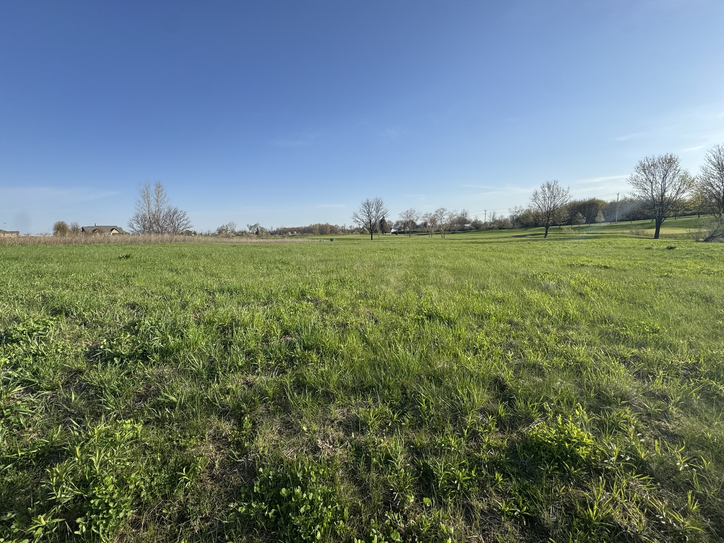 10006 Saint Andrews Drive Property Photo 1