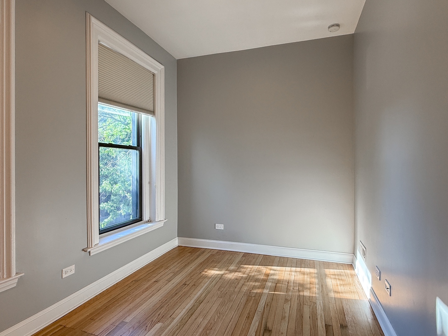 12556436 Property Photo 5
