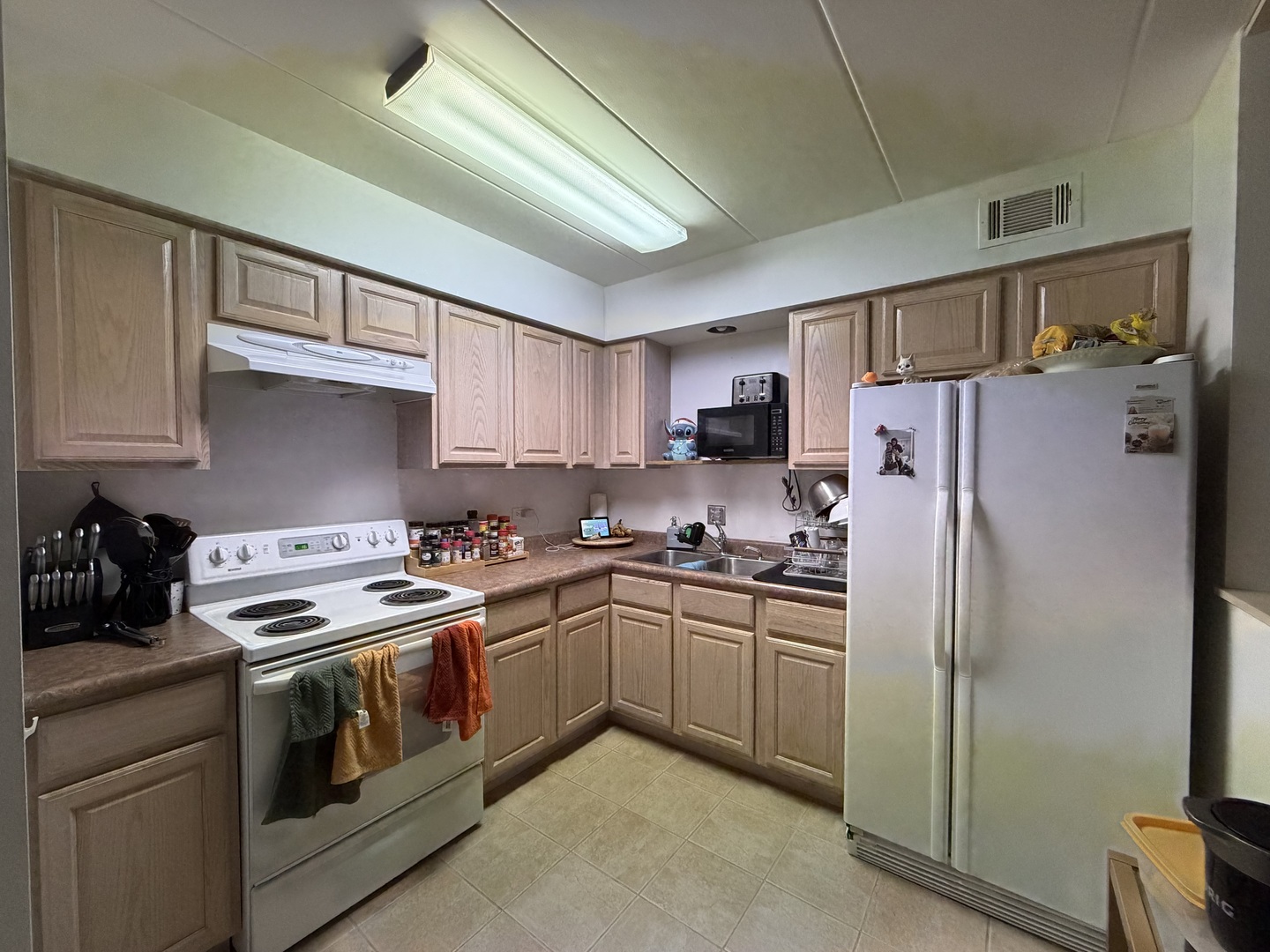 10002 S Pulaski Road 207 Property Photo 3