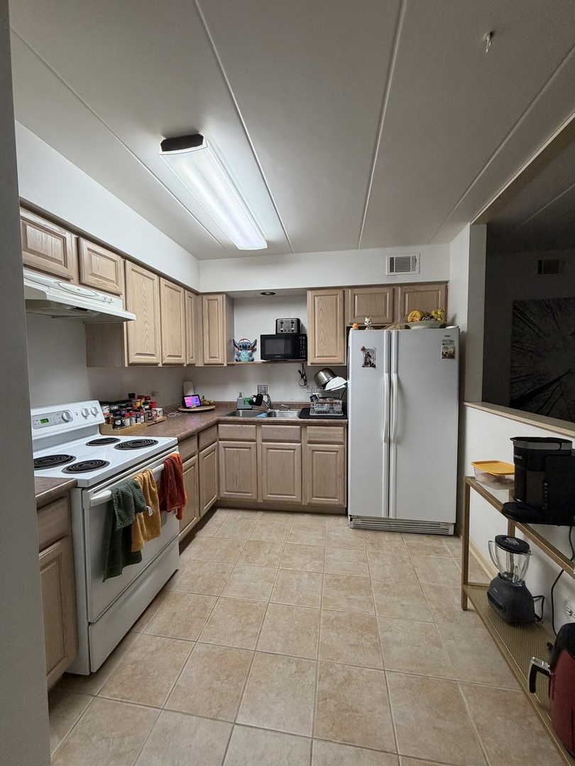 10002 S Pulaski Road 207 Property Photo 5